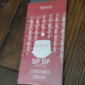 My Mind's Eye Santa Reusable Straws - Red and White
